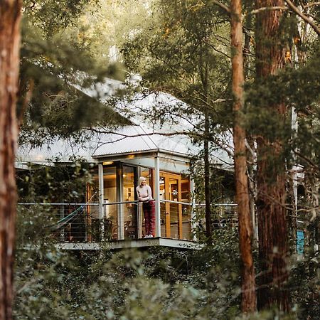 Bombah Point Eco Cottages Bulahdelah Exterior foto